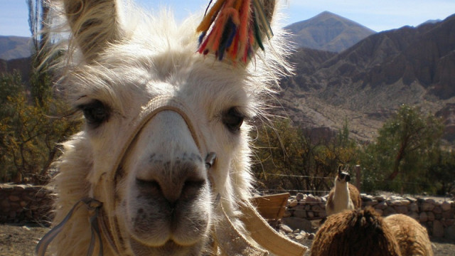 <strong>Peru - Bolivien Hop</strong> Mit dem Bus durch die Anden